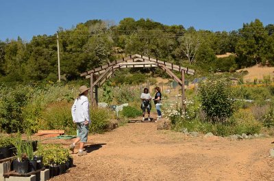 Gardens