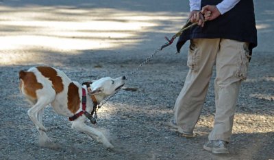 Tug Of War