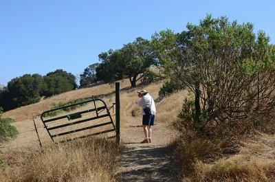 Johanna At Gate