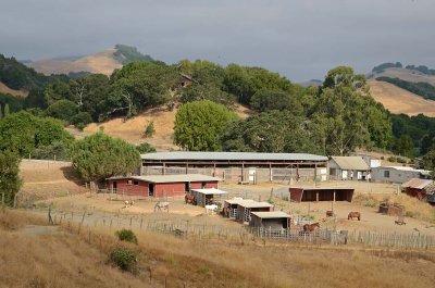 Stables