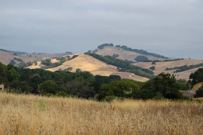 Sunlit Hill