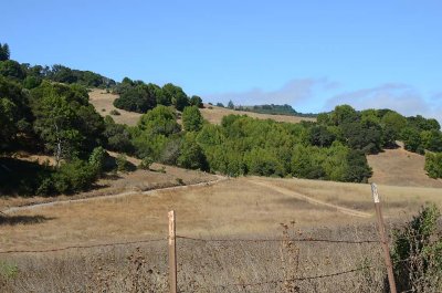 7/25/12: Hillside Trail