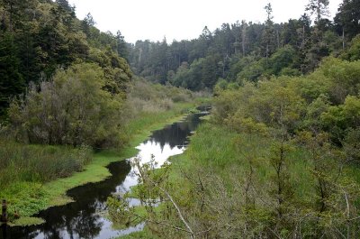 River Reflects