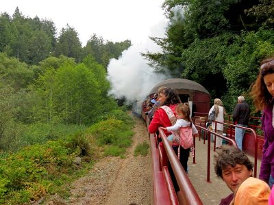 Open Car and Steam