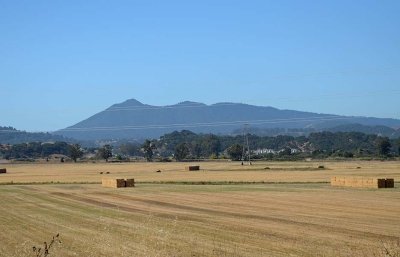Mt. Tam