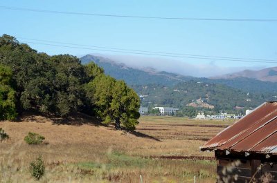 Foggy Hill