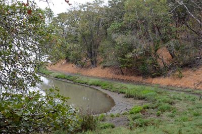 Damp Lower Path
