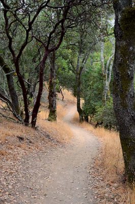 The Path Goes On