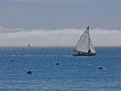 Sailboats and Fog