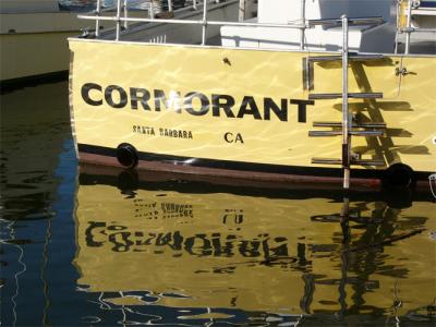 The Cormorant