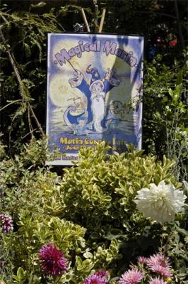 Magic Marin - 2006 County Fair