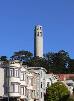 Coit Tower and Victorians