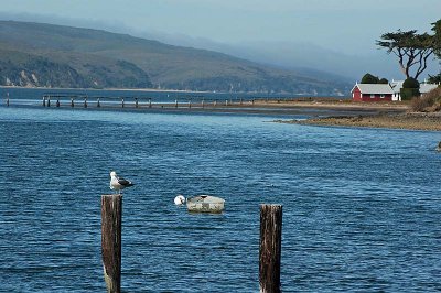 Tomales Bay from Marshall