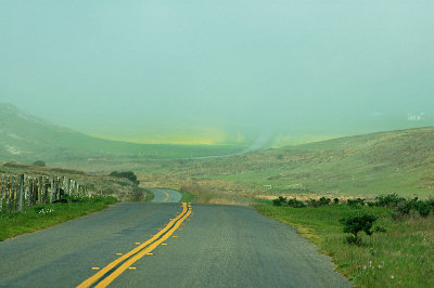 A Foggy Drive into Yellow