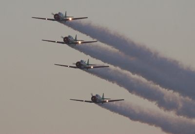 Harvards at dusk