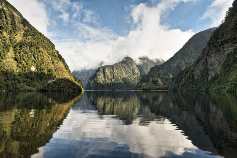 New Zealand, Doubtful Sound Rain Forest