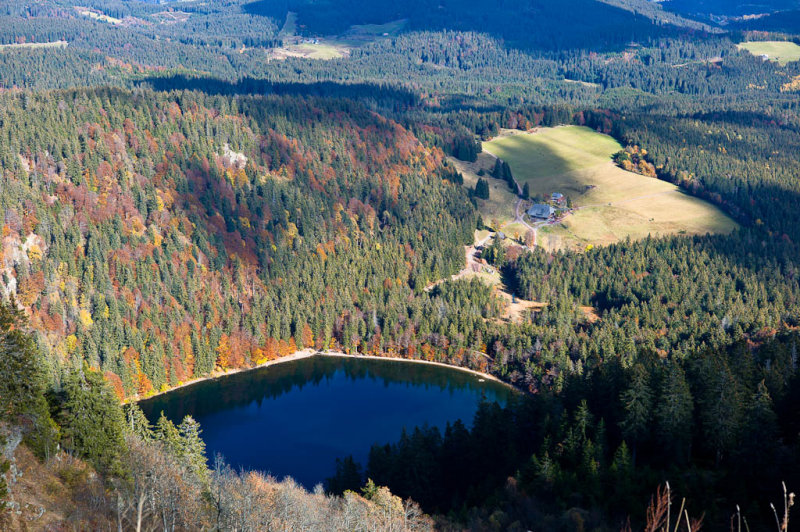 Lake Feldberg  The Eye of Feldberg