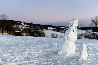 Sankt Peter, Black Forest