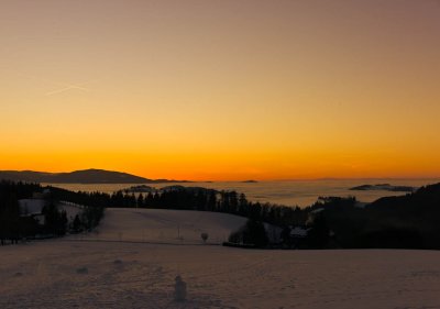 Black Forest Evening Scenery