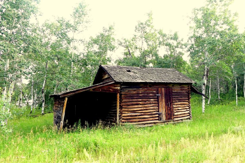 ABANDONED HOMESTEADER CABIN IN THE PARKLAND.JPG
