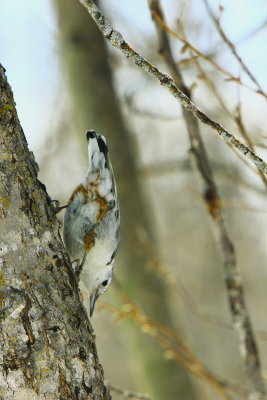 UNDERVIEW.JPG