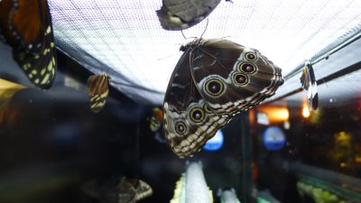 DRYING #3.JPG