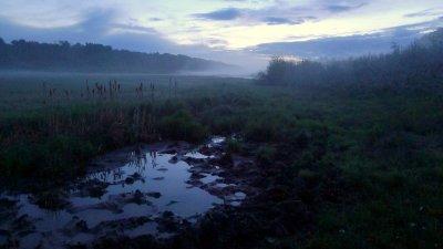 MIST ROLLS DOWN THE COULEE.JPG