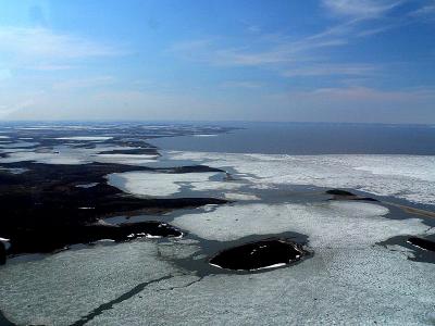 EDGE OF THE ARCTIC SEA.JPG