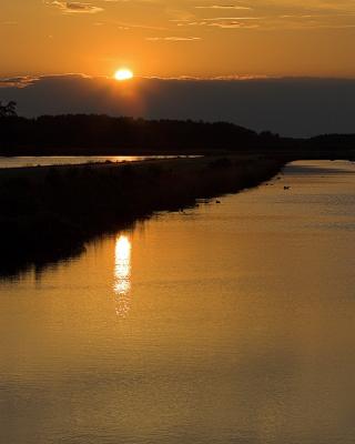 Blackwater National Wildlife Refuge