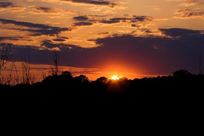 Scenic Sunset