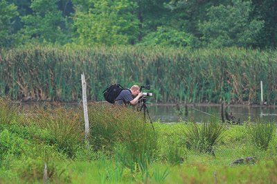 Photographer at Work