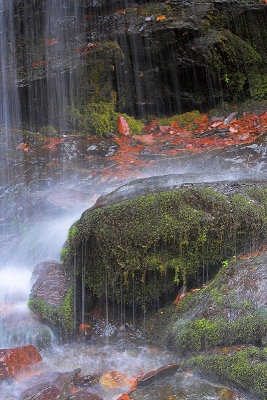 Winter Mossy Waterfall