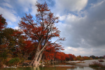 Fall on the Frio River