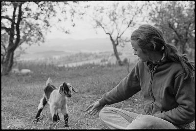 goat_with_norma-jo.jpg