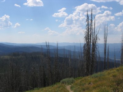 IMG_2784.JPG