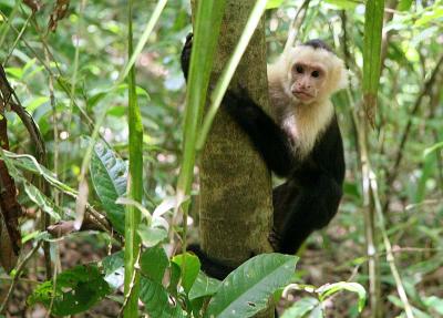 Costa Rica