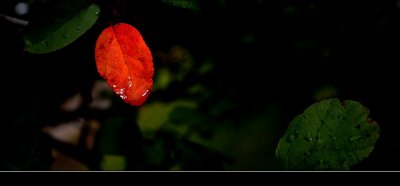 images_200506.jpg