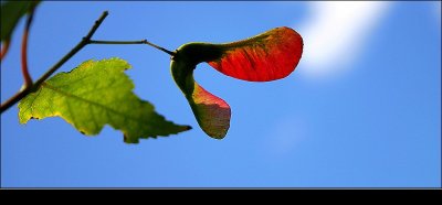 images_200508.jpg