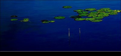 IMG_6515PP.jpg