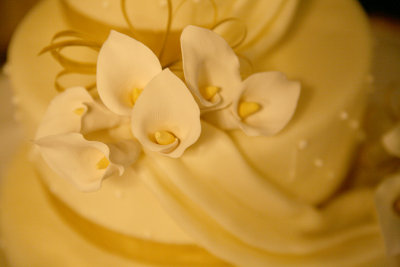 IMG_4499P.jpg