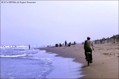 IMG_6011P_filtered.jpg