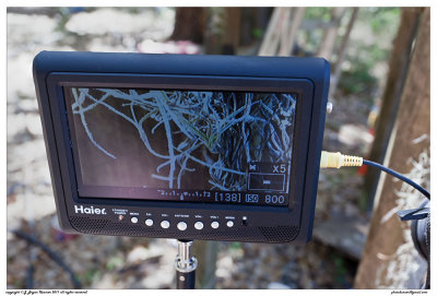 Haier-moss 1.jpg