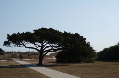 Huntington0001.jpg