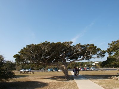 Huntington0004.jpg