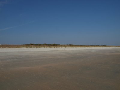 Huntington0013.jpg
