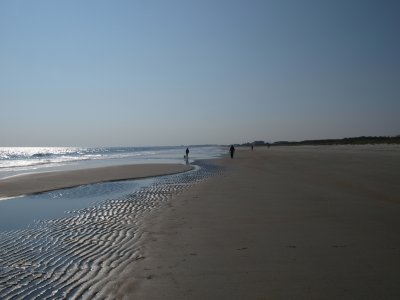 Huntington0015.jpg