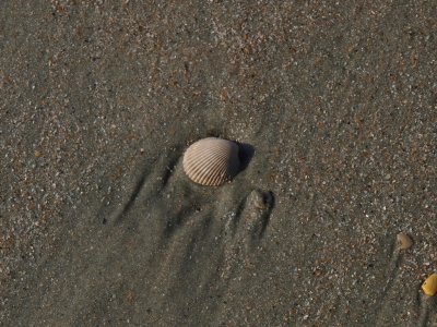 Huntington0017.jpg
