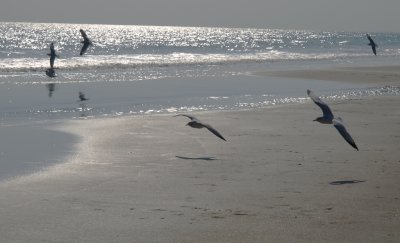 Huntington0018.jpg
