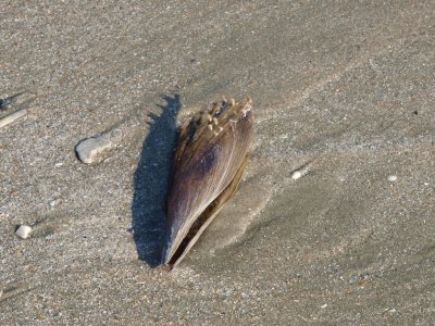 Huntington0019.jpg