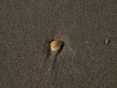 Huntington0023.jpg